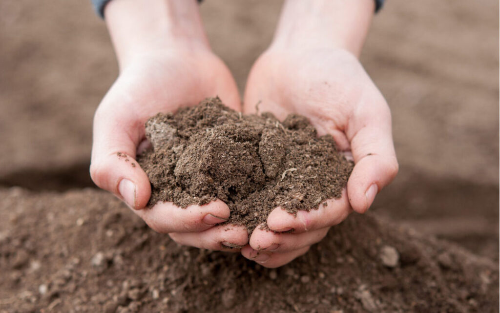 SOIL SAMPLES post thumbnail icon